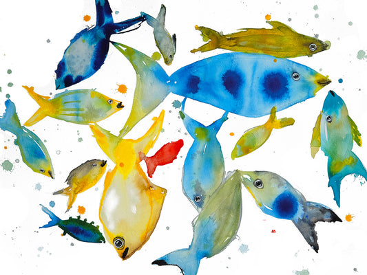 Colorful fish illustration on a white background