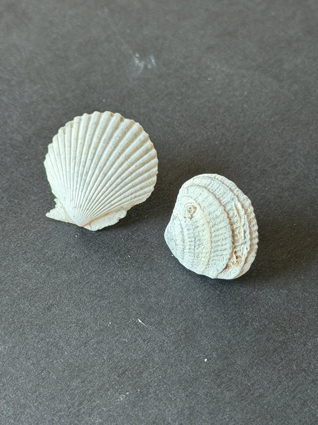 The Found Shell